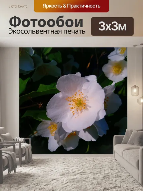 Фотообои Сад