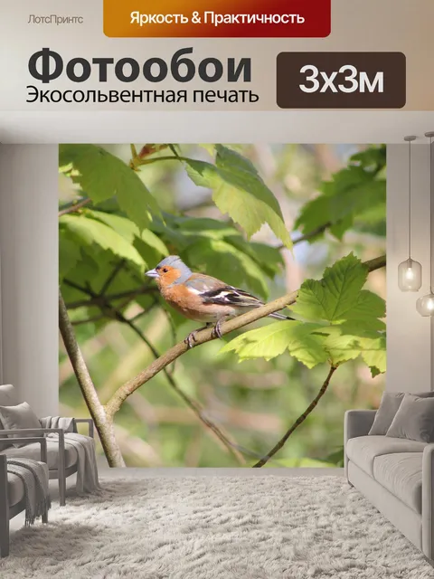 Фотообои Птица