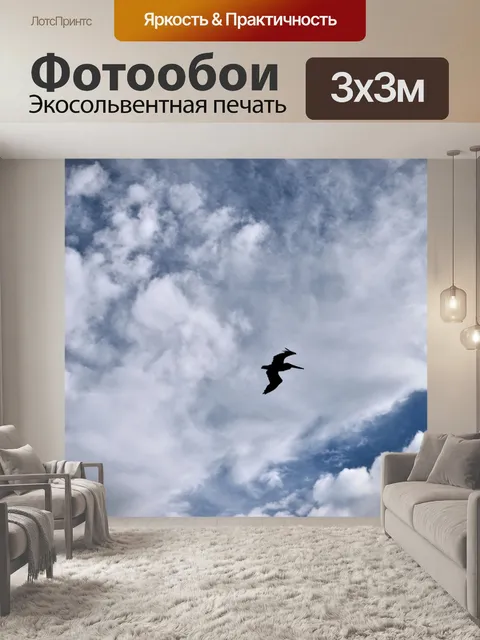 Фотообои Пеликан в полете
