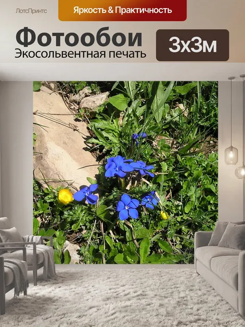 Фотообои Горы