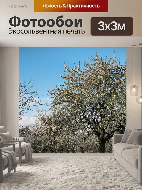 Фотообои Вишневые деревья