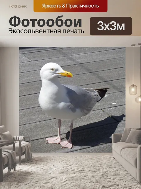 Фотообои Птица