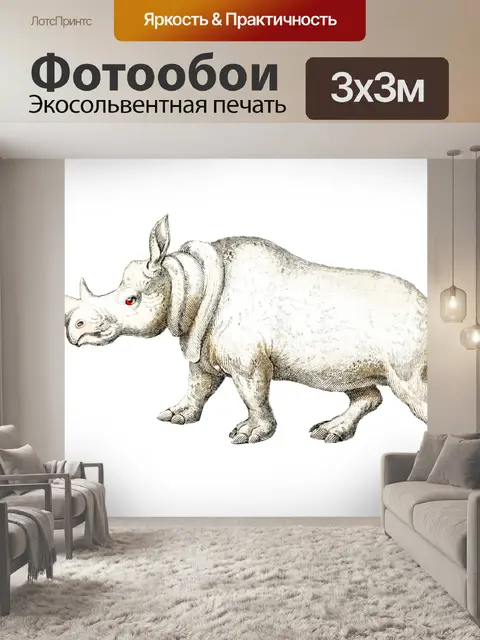 Фотообои Белый носорог