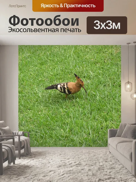 Фотообои Птица