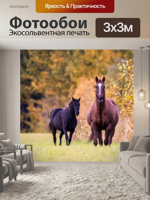 Фотообои Лошадь