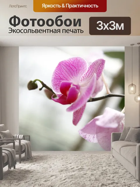 Фотообои Орхидея