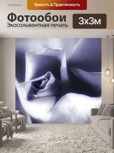 Фотообои Роза
