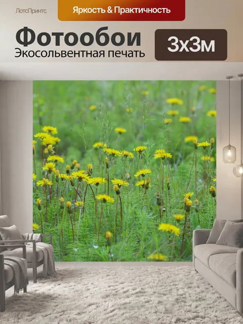 Фотообои Одуванчики