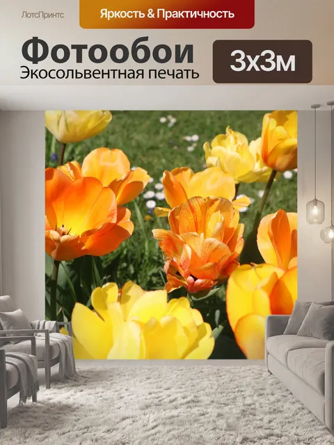 Фотообои Желтые тюльпаны