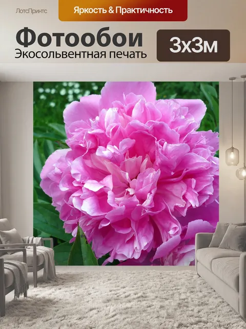 Фотообои Цветок