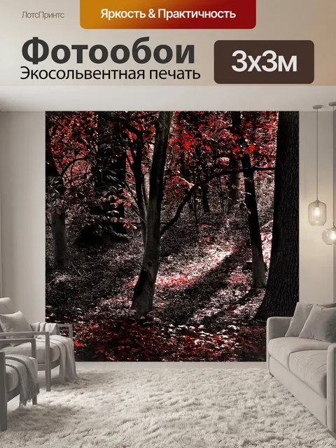 Фотообои Осенний пейзаж лесных деревьев