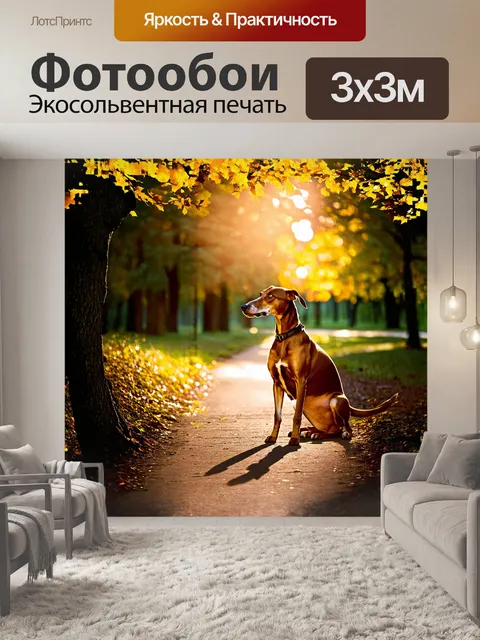 Фотообои сквозь листву деревьев