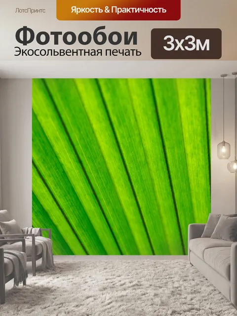 Фотообои пальма лист подробно