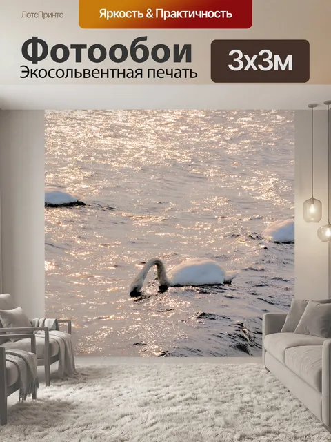 Фотообои Лебеди