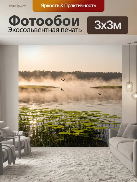 Фотообои утро: залив с яркими водными растениями, где солнечные лучи отражаются на поверхности воды