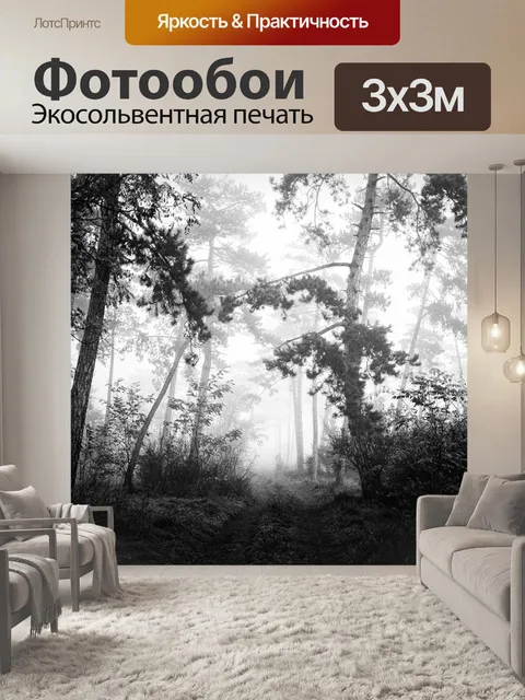 Фотообои Туманные леса
