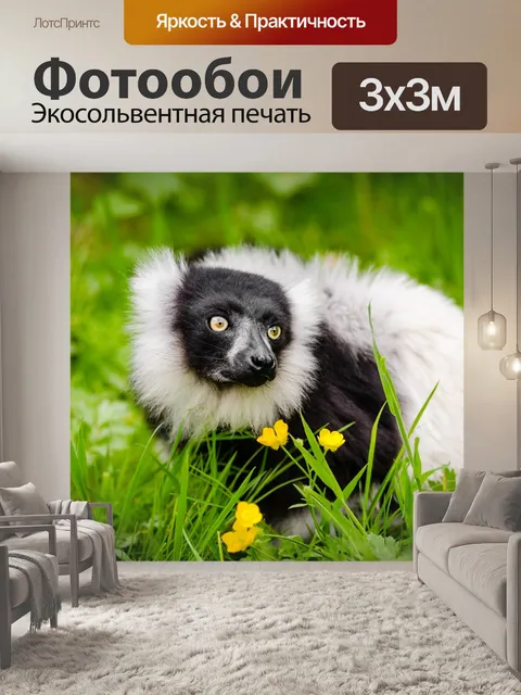 Фотообои Животное