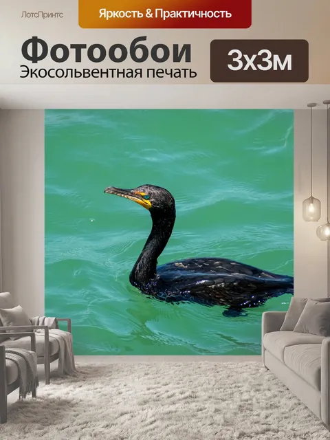 Фотообои Птица