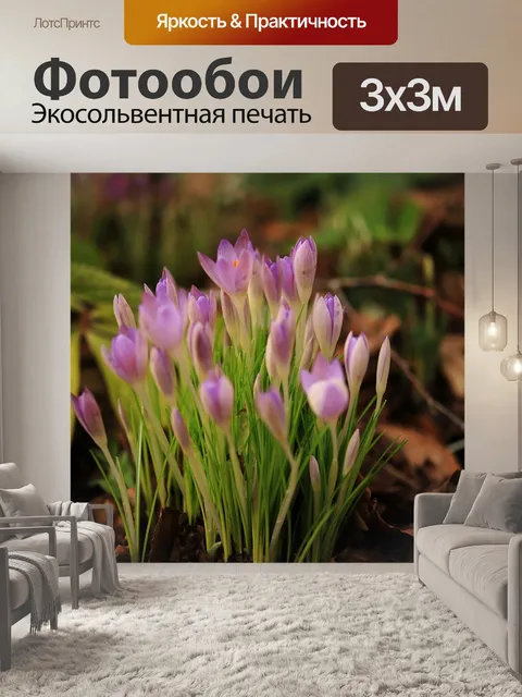 Фотообои Цветок