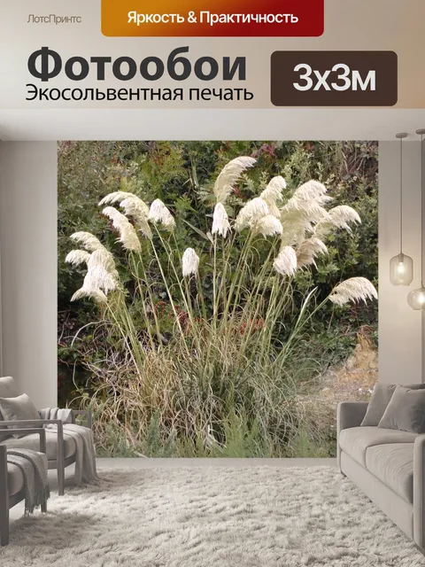 Фотообои Высокий пампа травы