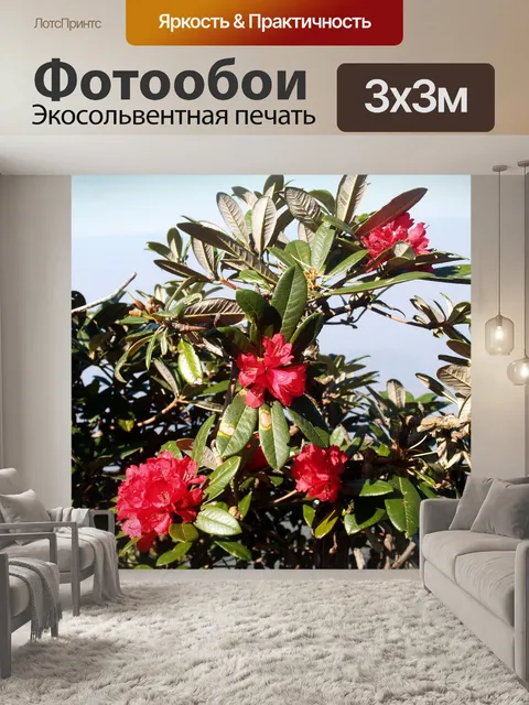 Фотообои Цветник на горе Дои Интанон