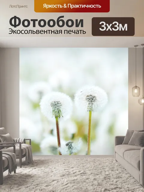 Фотообои Одуванчики