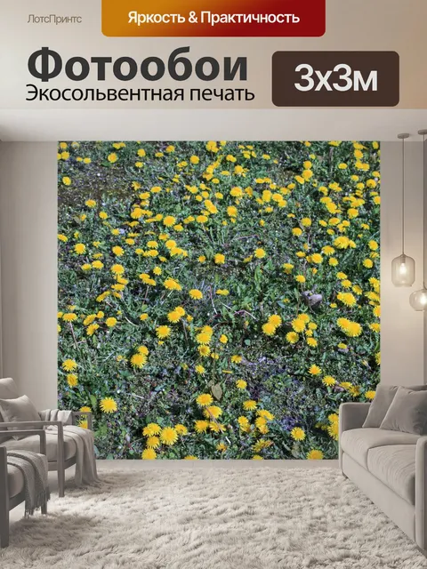 Фотообои Фон