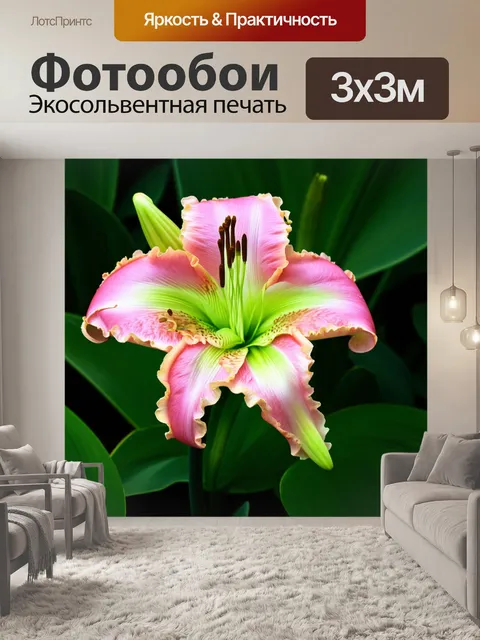 Фотообои Цветок лилии с большими яркими лепестками