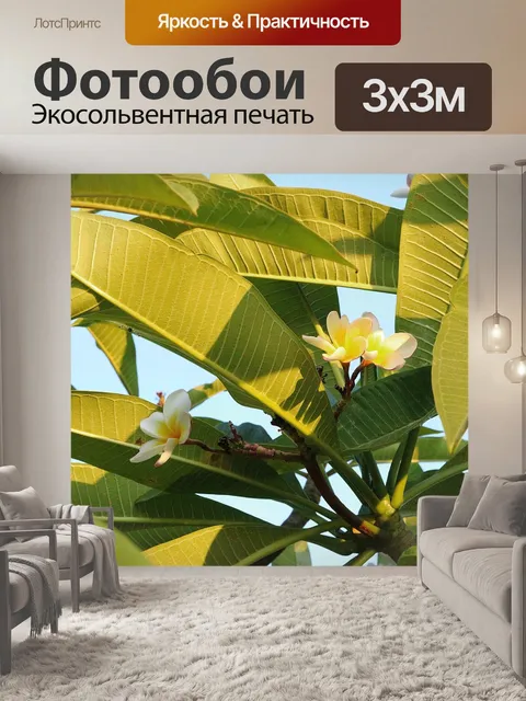Фотообои Цветок
