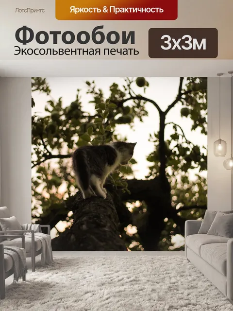 Фотообои Кошка