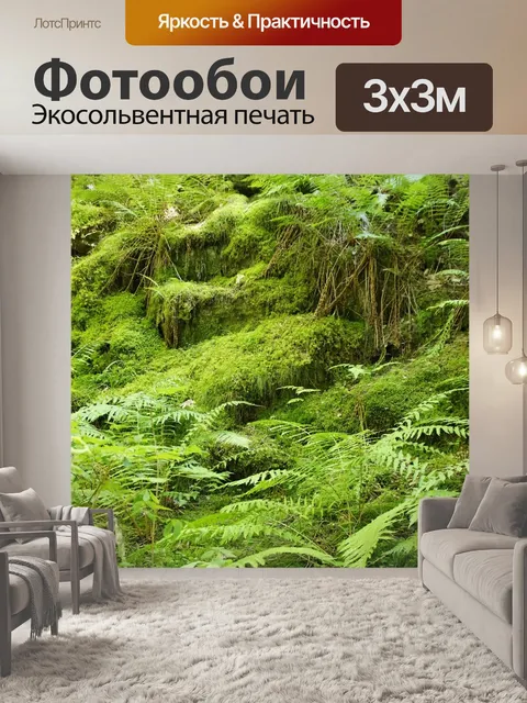 Фотообои Папоротники
