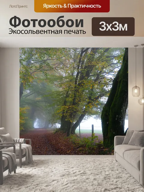 Фотообои Деревья