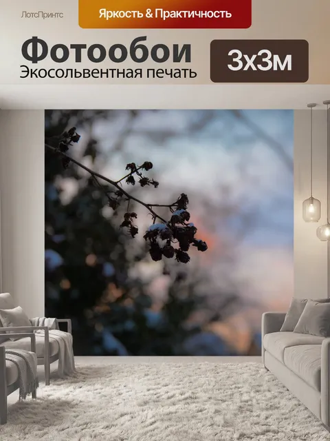 Фотообои Фрукты