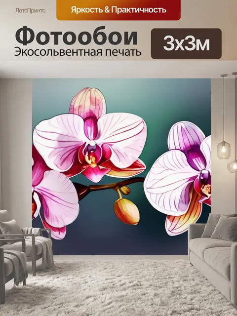 Фотообои цветок орхидеи
