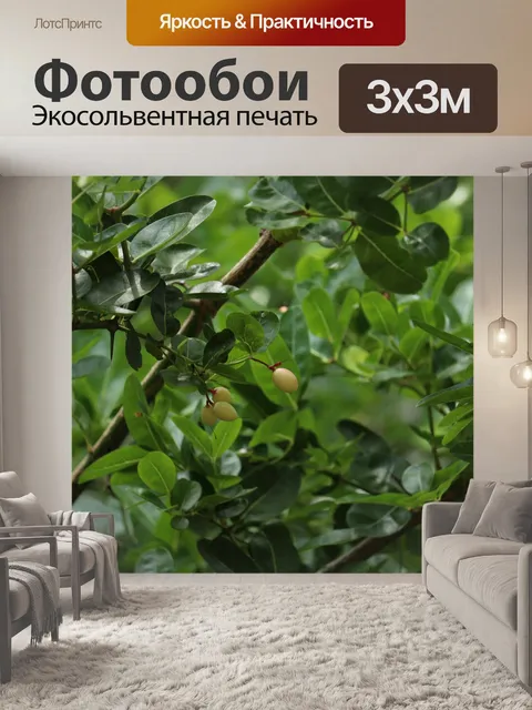 Фотообои Дерево