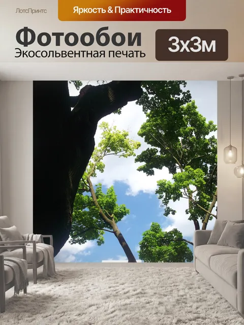 Фотообои Деревья