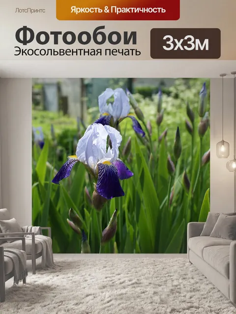 Фотообои Цветы