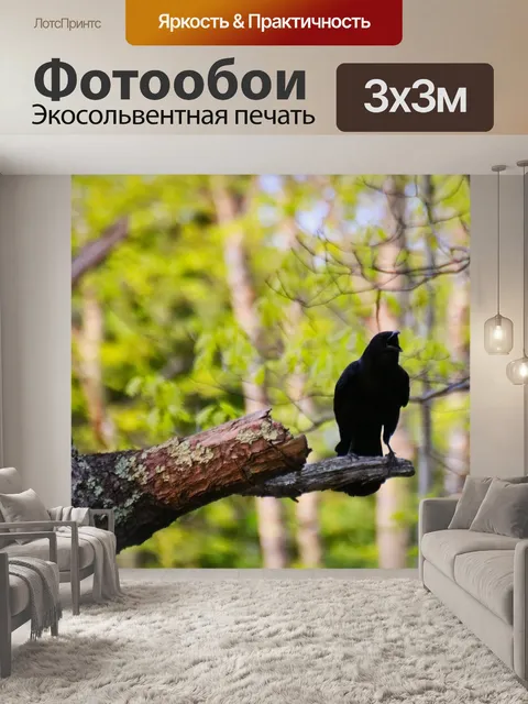 Фотообои ворона