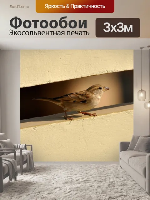 Фотообои Воробей