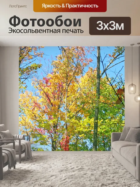 Фотообои Осенние деревья
