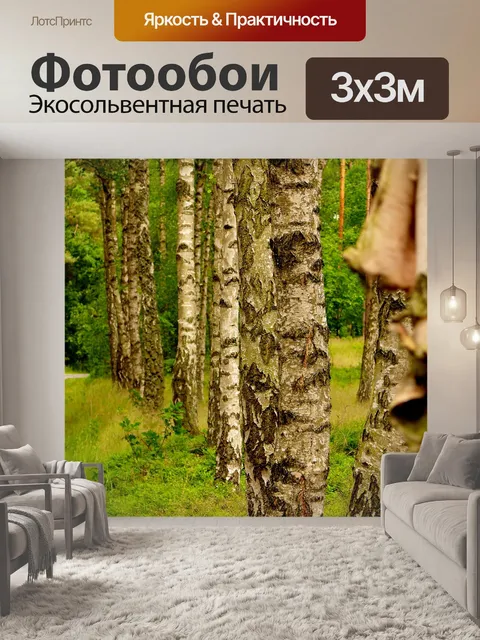 Фотообои Березы
