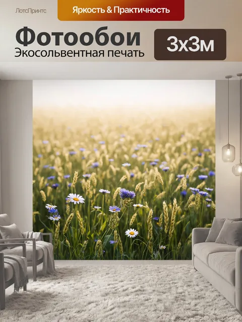 Фотообои поле, залитое мягким утренним светом, сказочно выглядит под легкой дымкой утреннего тумана
