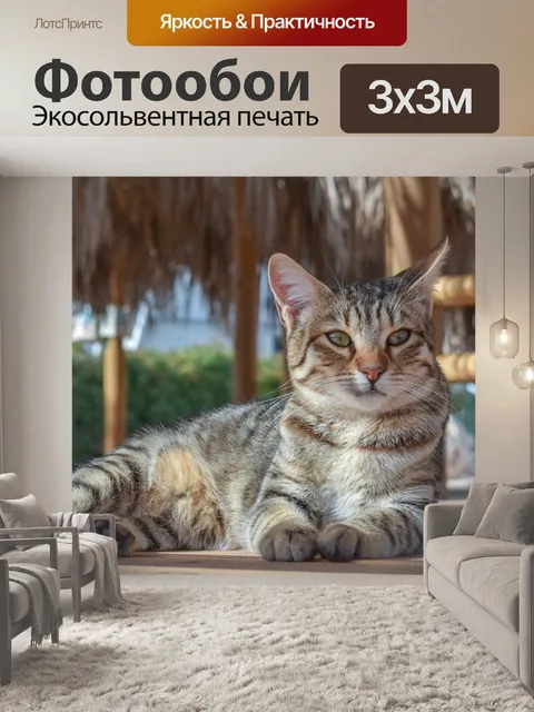 Фотообои Кошка