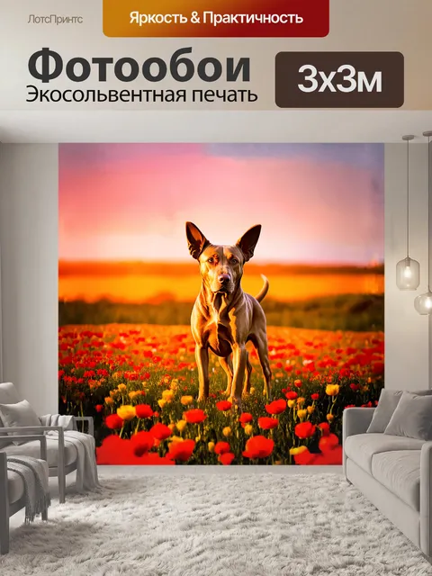 Фотообои лабрадор, стоящий в поле, усеянном золотыми и ярко-красными цветами