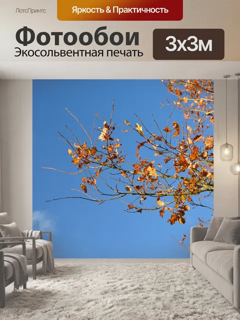 Фотообои Листья