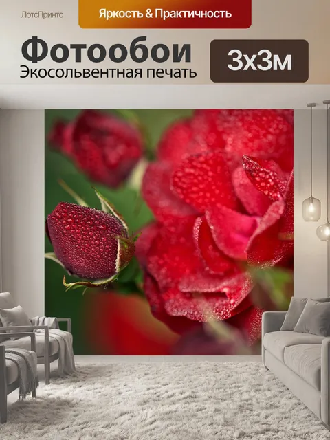 Фотообои Розы в саду