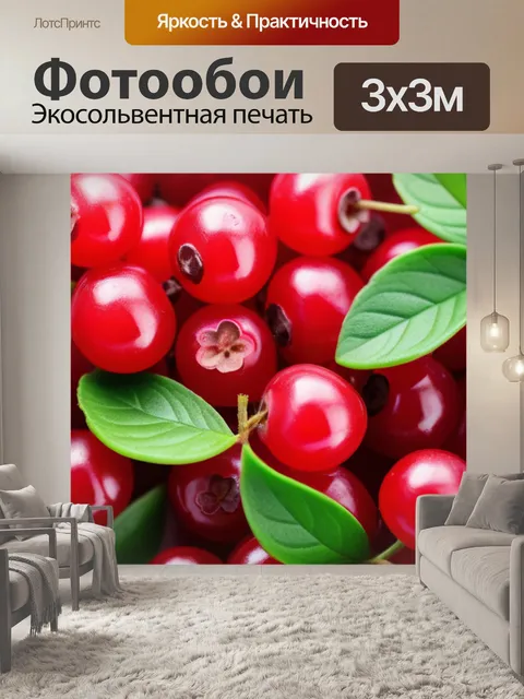 Фотообои брусника и листья на белом фоне