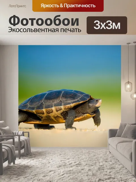 Фотообои Море