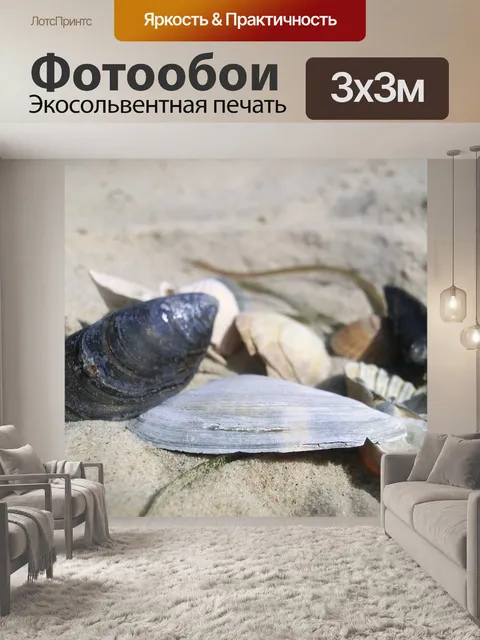 Фотообои Оболочка