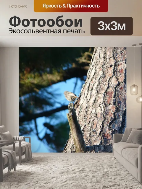 Фотообои Дерево